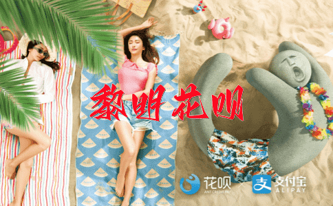 尺有所短，寸有所长花呗